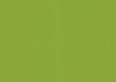 VERDE FUN